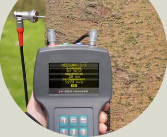 IML Micro Hammer樹木聲速測(cè)試儀