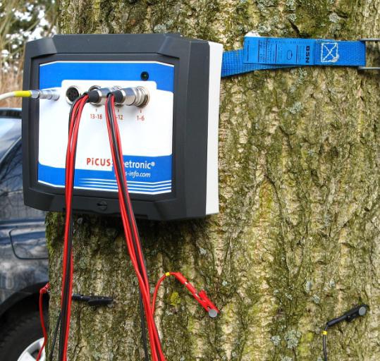 Argus PiCUS TreeTronic樹(shù)木電阻抗斷層成像儀